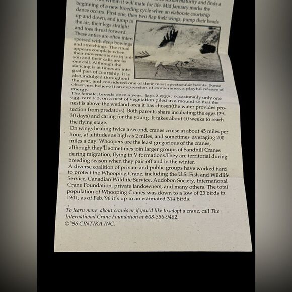 Vintage NIB C.A. Daniel’s -Cintika collectible silver Whooping Crane razor - Picture 7 of 8